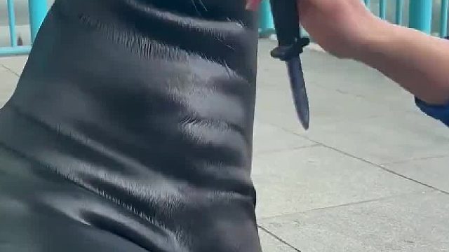 怎么区分海狮和海豹？