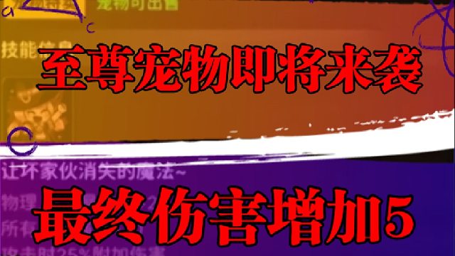 至尊宠物即将来袭，最终伤害增加5%