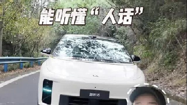 理想的“VLA司机大模型”，辅助驾驶中“T0级”的存在，太好用了！