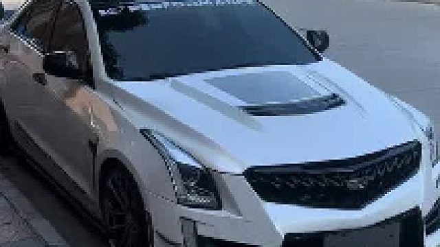 智者不入爱河，凯迪才是你的选择