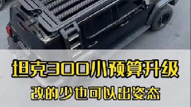 坦克300花小钱办大事！小改也可以出姿态！