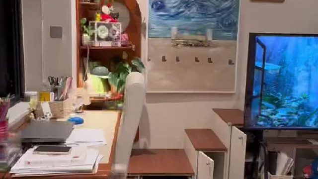 一镜到底看29平米小户型多能装 一人居怎么能有这么多东西