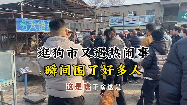 逛狗市又发生啥事儿了这是，咋一瞬间吸引这么些人围观，理性吃瓜