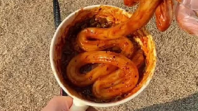 爆辣“超长粉耗子”｜沉浸式遛狗