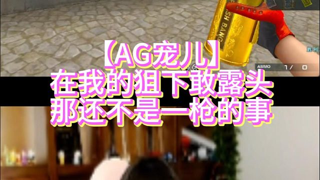 【AG宠儿】在我的狙下敢露头那还不是一枪的事