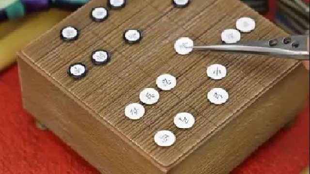 地表最强生物居然下不过一个人类？