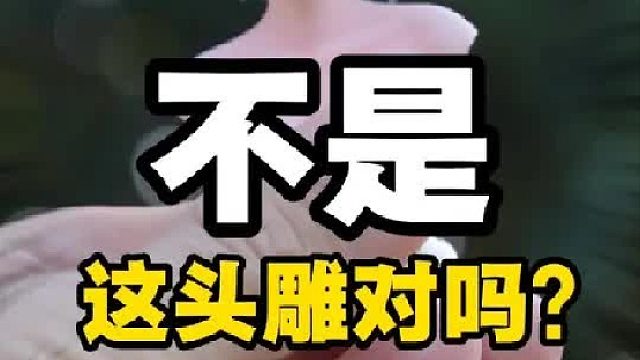 这流萤也太抽象了！ NA小萤同学来啦！