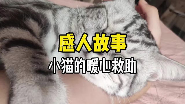 苍蝇带来了死亡的宣告，却被妈妈带来的风吹走了！