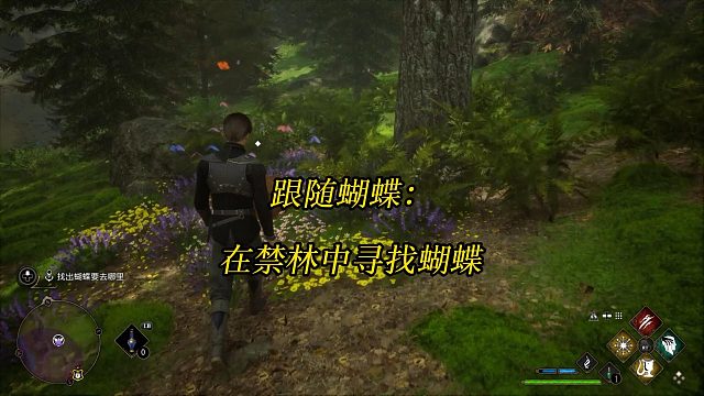 《霍格沃茨之遗》跟随蝴蝶：在禁林中寻找蝴蝶-Hogwarts Legacy 游戏任务攻略