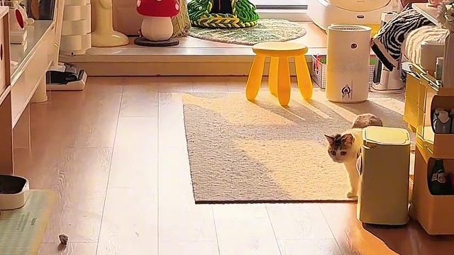 47平装修指南 ｜这3个角落承包了我3年的快乐！ 基本信息： 面积：建面57套内47 户型：一室一厅一厨一卫 性质：民用住宅 —— 1落地窗地台休闲区 我家圈粉