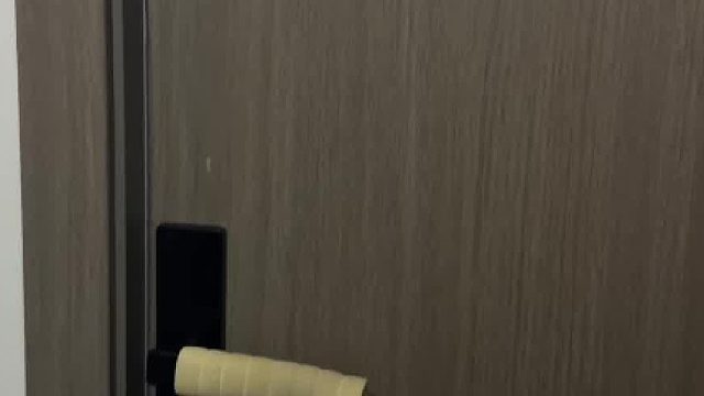 和小猫混在合租房里有多爽！？！