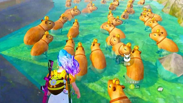 感谢有您们陪伴，未来请继续幸福快乐！