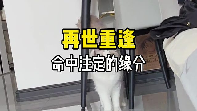 不管轮回多少次，我都会再次回到你的身边