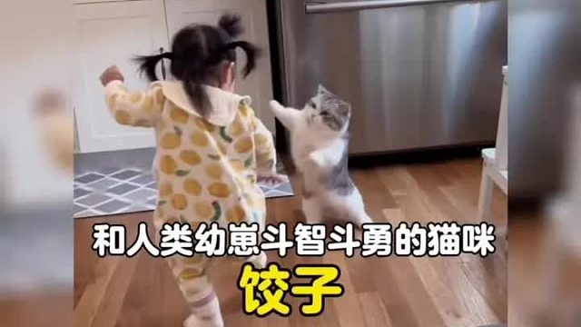 一只和人类幼崽斗智斗勇的小短腿，妹妹这发型多少有些潦草