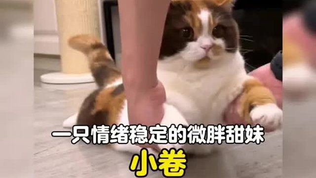 一枚情绪稳定，长得像焦糖奶油麻薯的微胖甜妹
