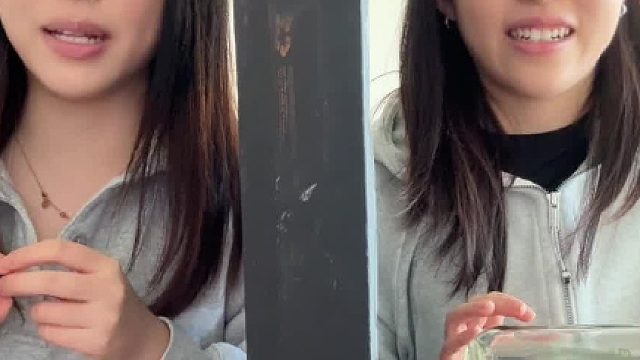 隔板猜物撒谎挑战3。0