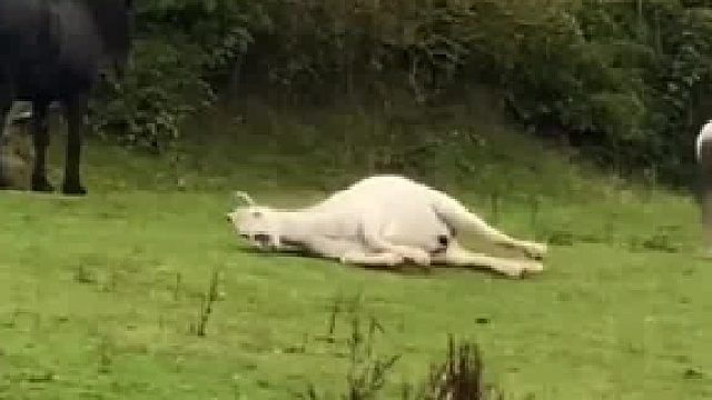 早上按掉闹钟穿越时间的我belike#全网热点共创计划#