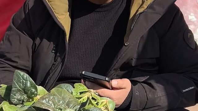 昨日向那东流水 离我远去不可留~