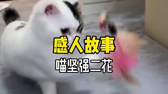 它原本是一个摇摇晃晃的不倒翁，妈妈来了，它就变成可爱的小猫了……