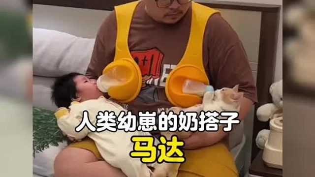 跟人类幼崽一起长大的猫咪奶搭子也太幸福了，奶爸一碗水端平