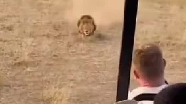 狗：这样我很尴尬。