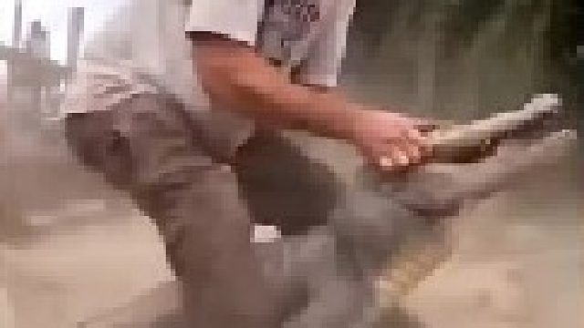 恐怖直立猿终于明白为什么人类这么弱却被称为恐怖直立猿了