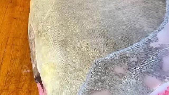 神仙刀工蓝鳍金枪鱼大腹切出油花暴击