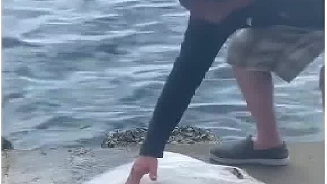 [shorts] 上岸产子_