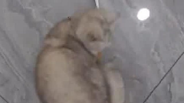 翻跟头已经不能吸引女孩子了？