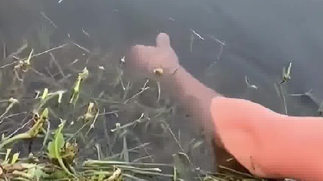 靠，溜了溜了，惹不起惹不起。