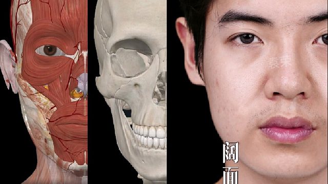 阔面肉肉脸 面部解析，一视频看懂！