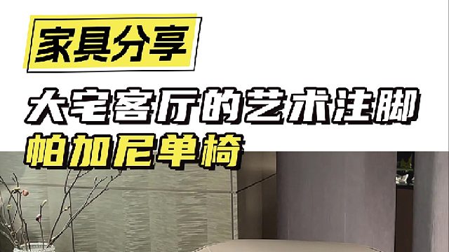 大宅客厅的艺术注脚 帕加尼单椅