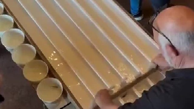 你见过鱼比赛吗，温馨又浪漫，