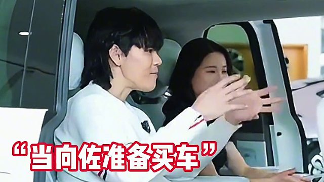 当向佐准备买车