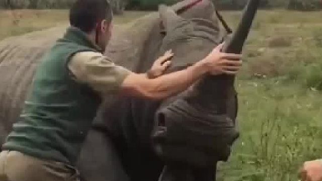 你们比偷猎者正大光明