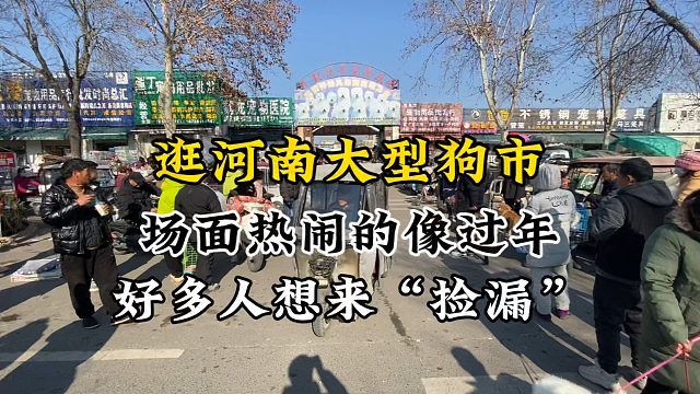 继续逛河南大型狗市，这场面热闹的跟过年似的，来看狗的人真多！
