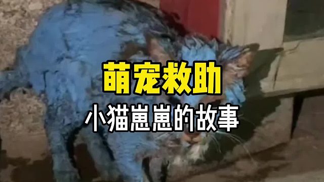 灵魂一旦被爱，血肉就会疯狂生长！