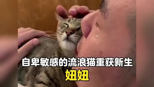 自卑敏感的小流浪，遇上心软的神，双向奔赴的治愈