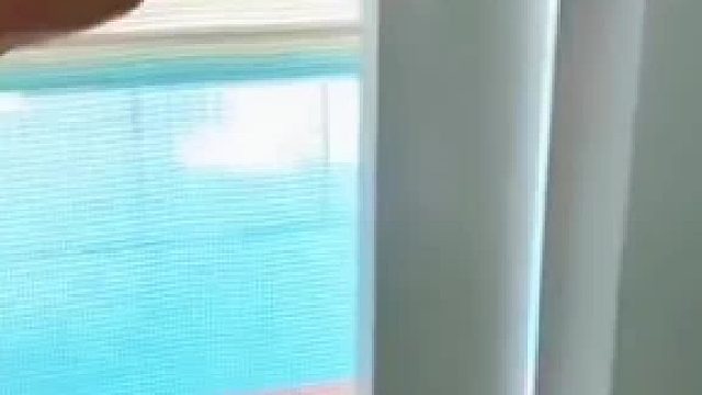 脑瓜子嗡嗡的~落汤狗汪汪队跳水名场面#全网热点共创计划#