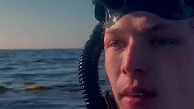 可爱的海底小狗