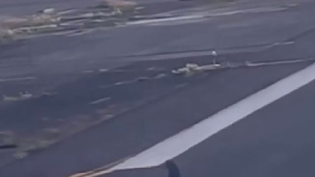 鸽子：你礼貌吗我还没准备好