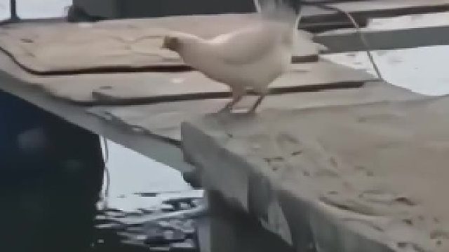 练习肯定超过两年半了。