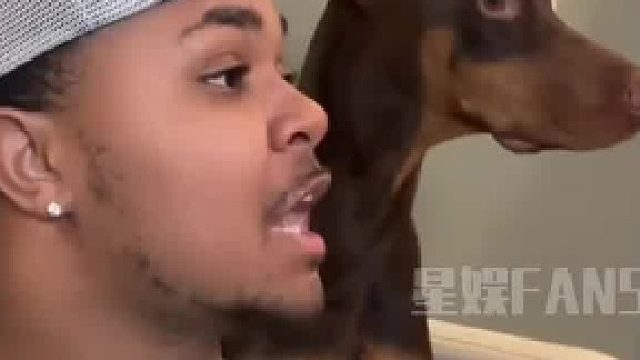 狗狗：我主人眼神都差成这了？