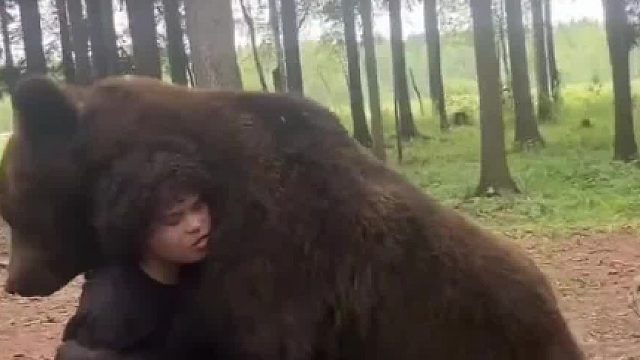 把棕熊当成饲养会怎么样