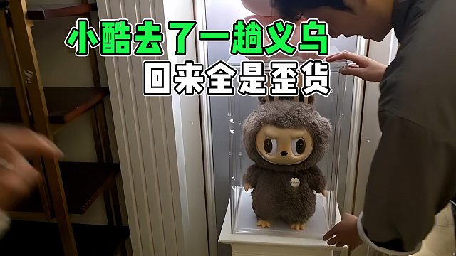 小酷去了一趟义乌，回来看啥都像歪货，可把阿良气得不轻