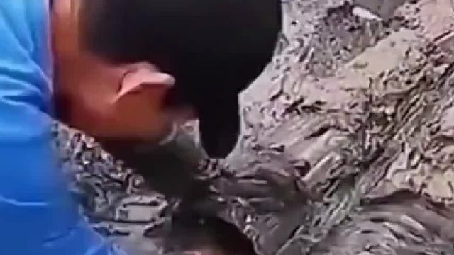 头都捏住了，你倒是抓呀