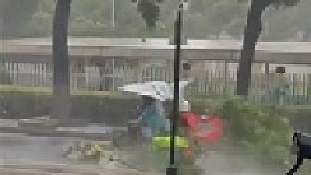 泪水打湿猪脚饭发誓要开大奥迪这下痛苦还是轮到广东了