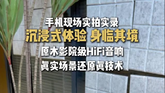 解析力直抵细节，连呼吸般的细微音效都清晰可辨