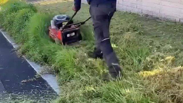 美式庭院开荒时刻，高薪又！