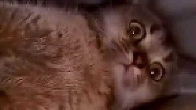 藏得真是深不可测